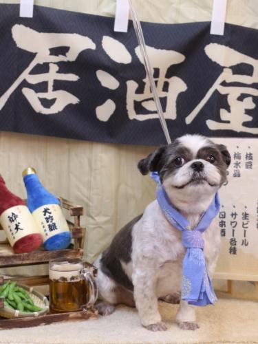 20240609大吉くん